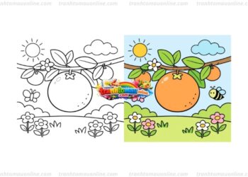 tô màu quả cam