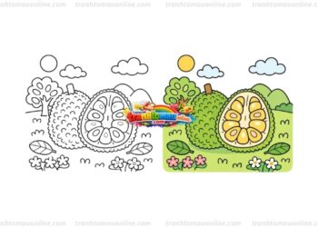 tô màu quả mít