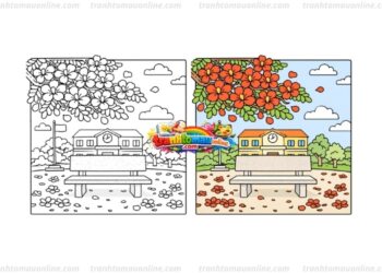 tranh tô màu hoa phượng